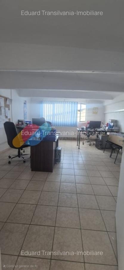 Spatiu industrial 600mp + 1500mp curte - Someseni - 9