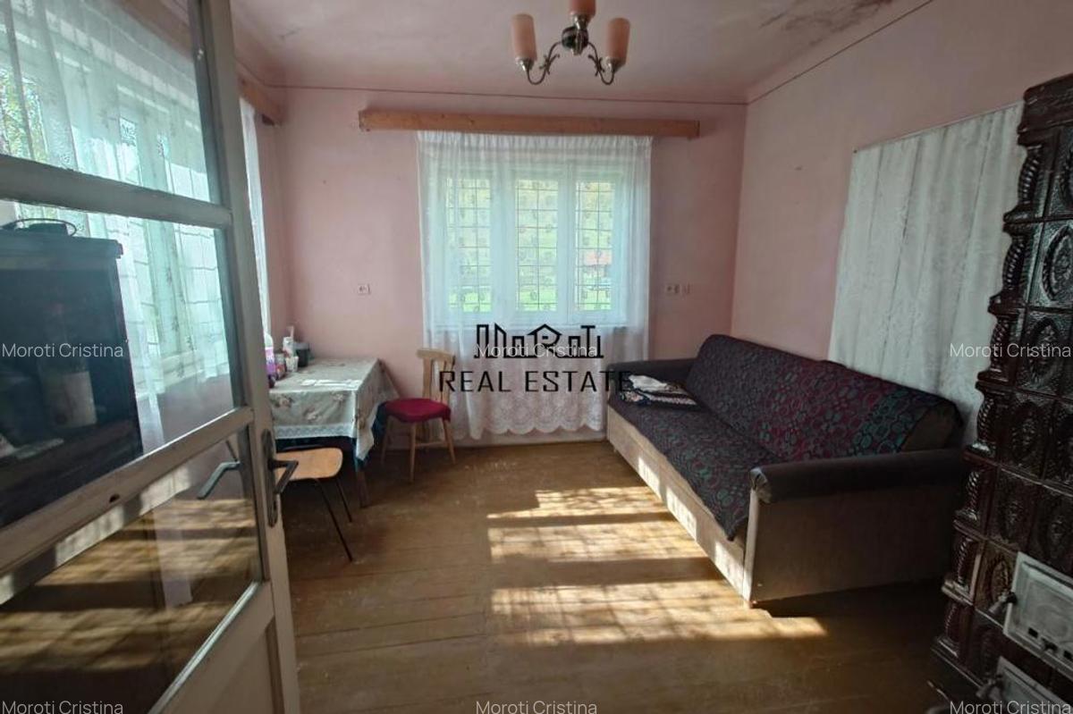 Teren, padure si casa in Dumbrava de Jos, jud. Hunedoara - 7