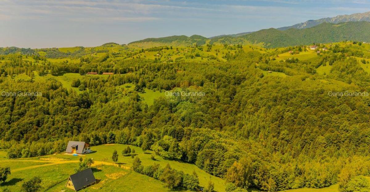 Teren extravilan 2,000mp Pestera / cabana vacanta/natura - 14