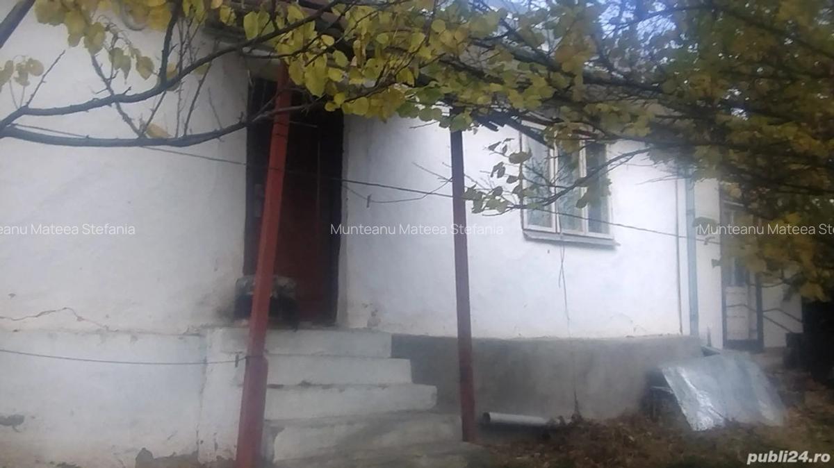 Vand casa batraneasca - 3