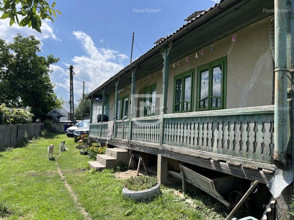 Ferma agricola, plantatii de mure, trandafiri, vita-de-vie - 6
