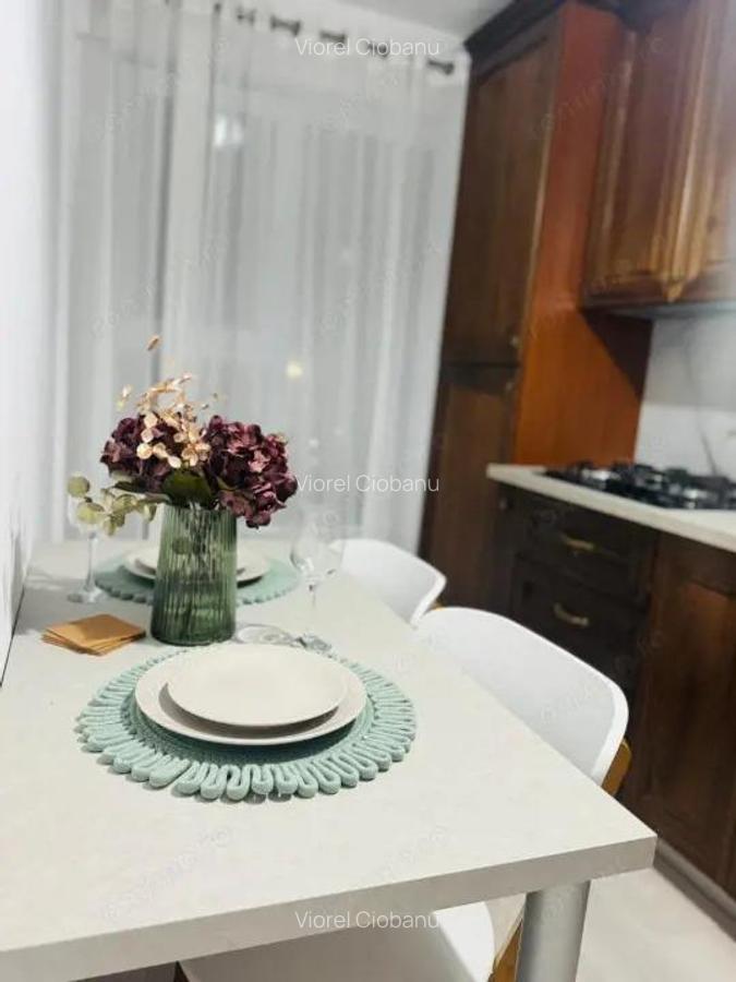 APARTAMENT 1 CAMERA, ETAJ 1, MOBILAT SI UTILAT, POPAS PACURARI - 7