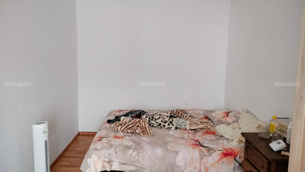 Cetatii 3 camere 85000 euro - 9