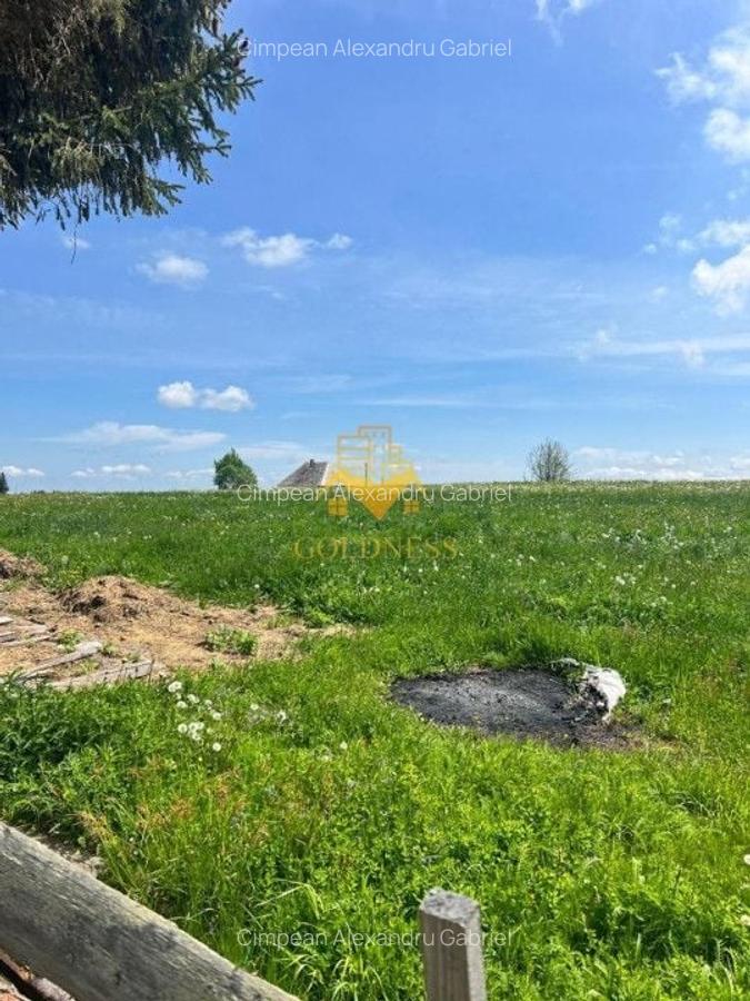 Teren Construcții intravilan de 10000 mp, în Mărișel - 5
