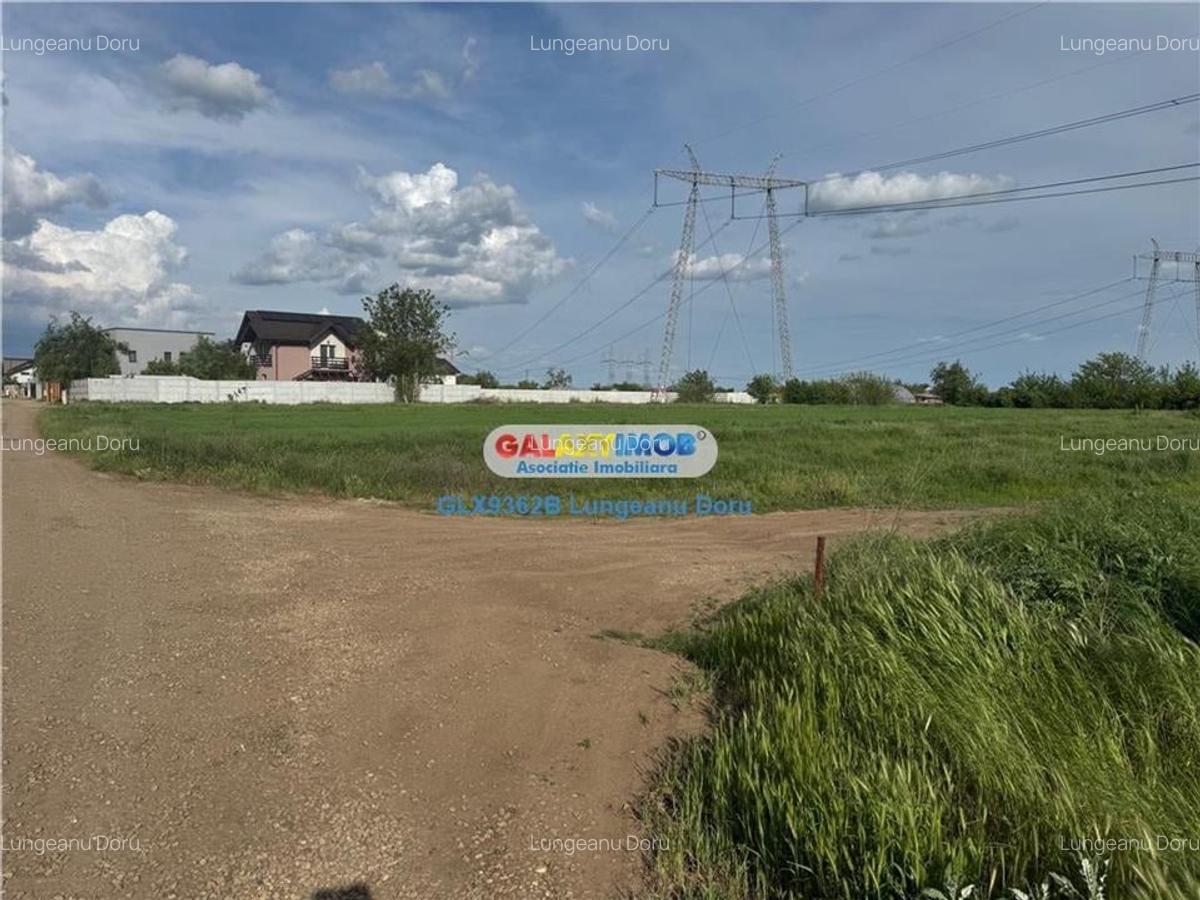 Teren intravilan 1622mp, Lidl Berceni, Utilitati Gaz Electric, 50E mp - 3