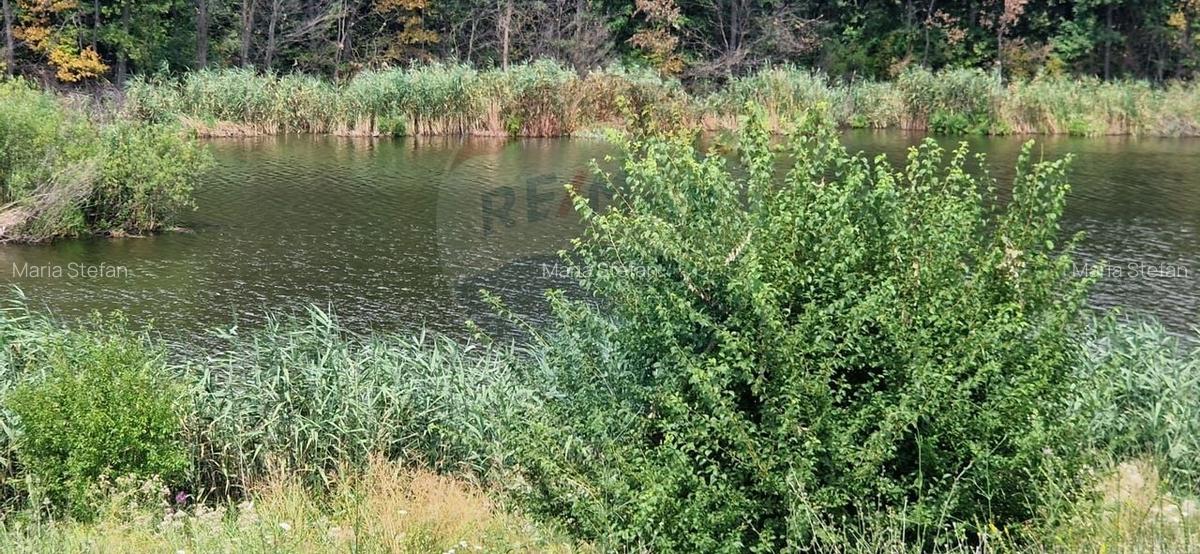 DE VANZARE Teren lac, 4500mp Moara Vlasiei - 4