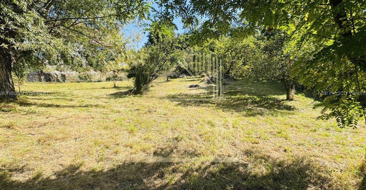 TEREN INTRAVILAN 3234 MP LERE?TI VOINE?TI ARGE? - 3