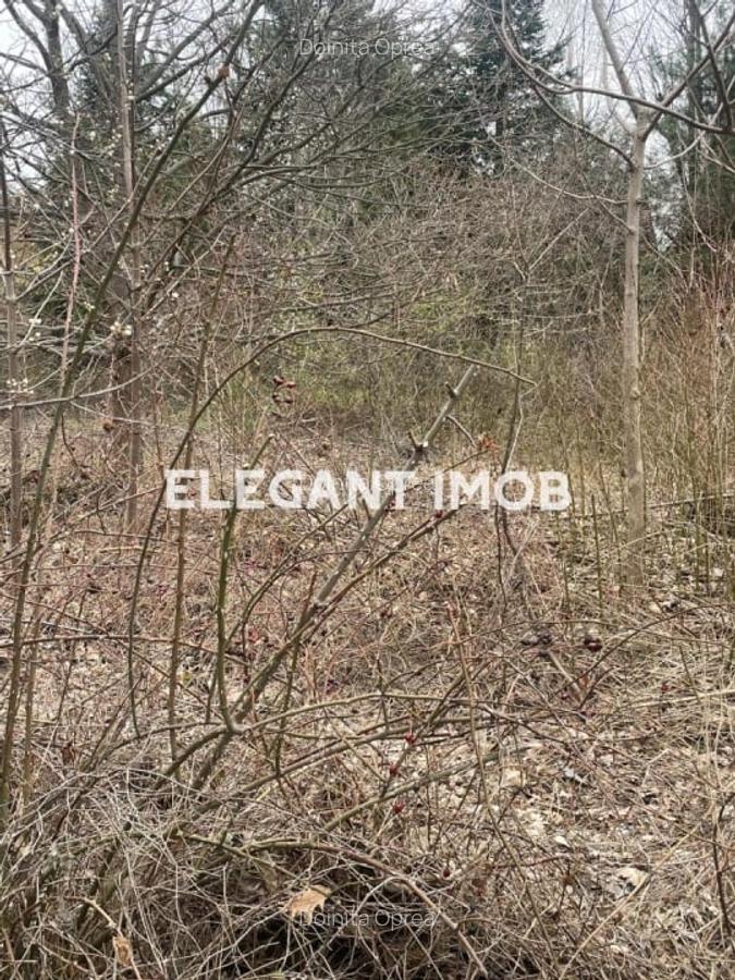 Teren excelent in Paradisul Verde perfect pentru doua case - 1