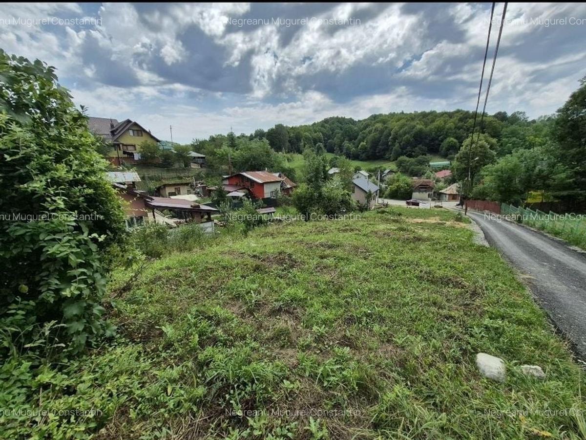 Teren intravilan-935 mp-dubla deschidere, Breaza-Valea Tarsei - 2