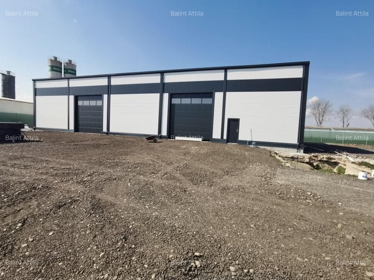 Giarmata Mare hala noua 2300 euro - 1