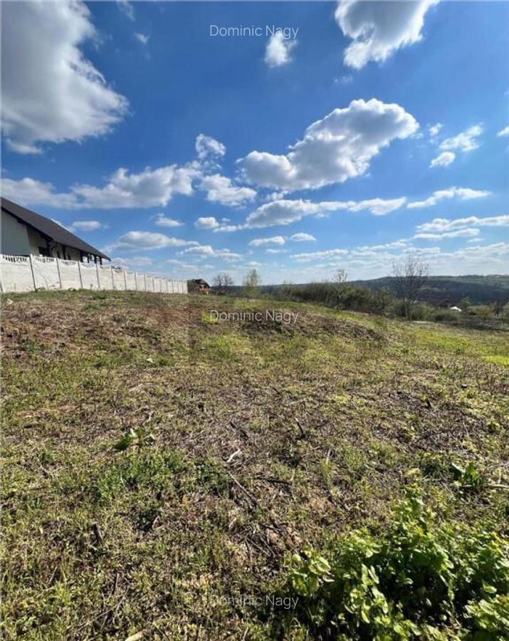 RECO teren de in zona Paleu - 4