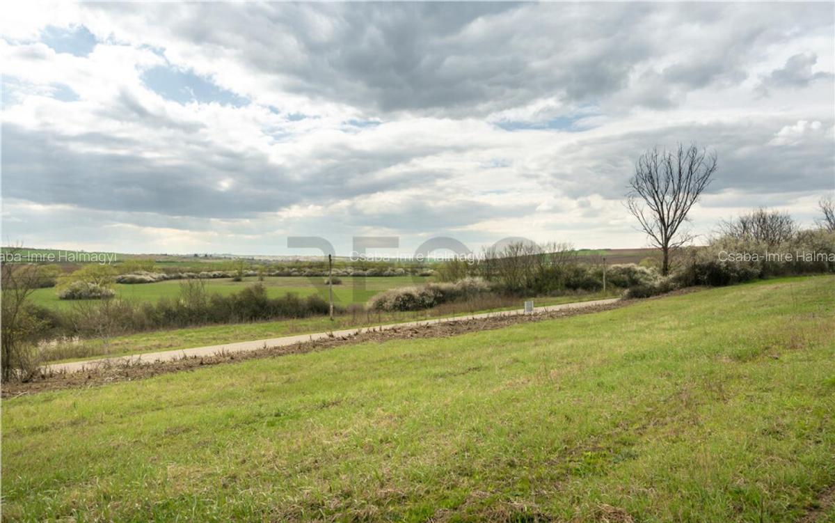 Teren intravilan Cetariu - 6