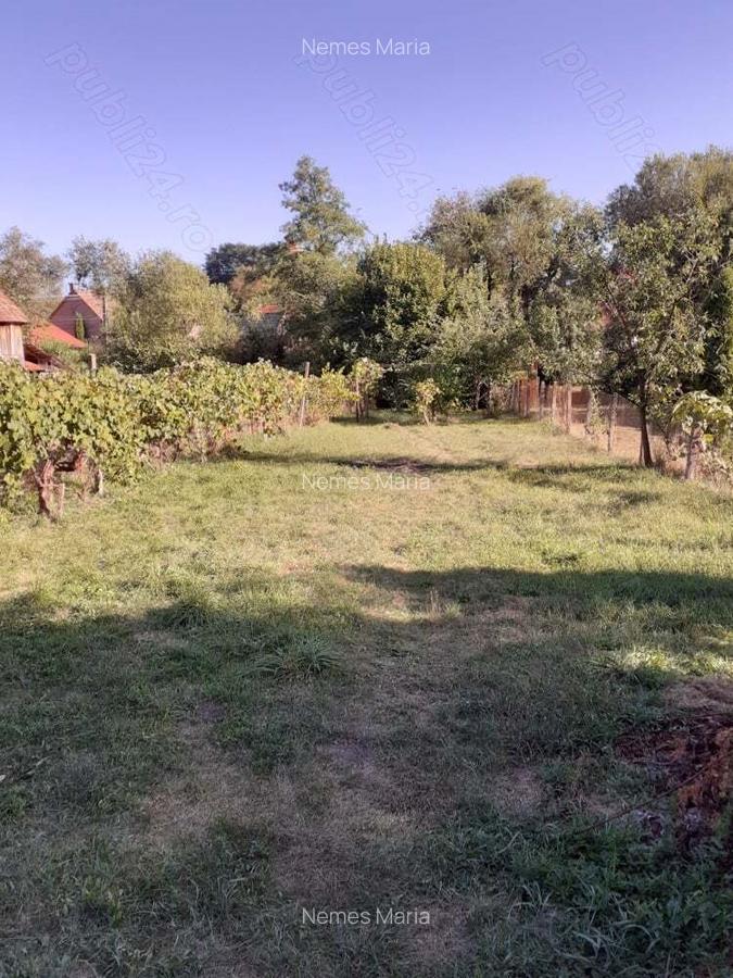 Casa de vanzare - 7