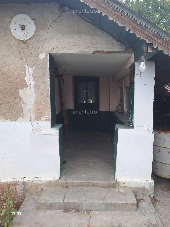 Vand casa teren 3000mp satul Gresia, Rosiorii de Vede, Teleorman - 4