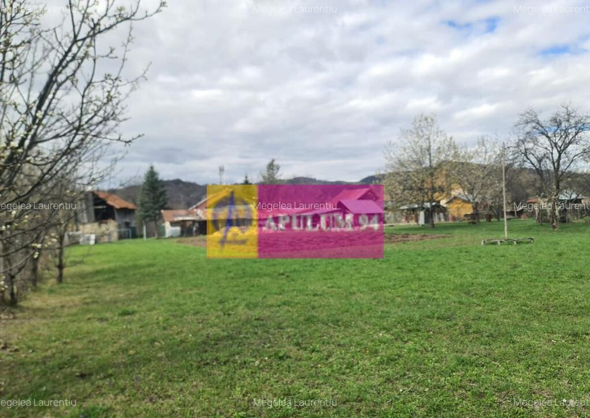 Teren de vanzare in Brebu - Zona Brebu Megiesesc - 4