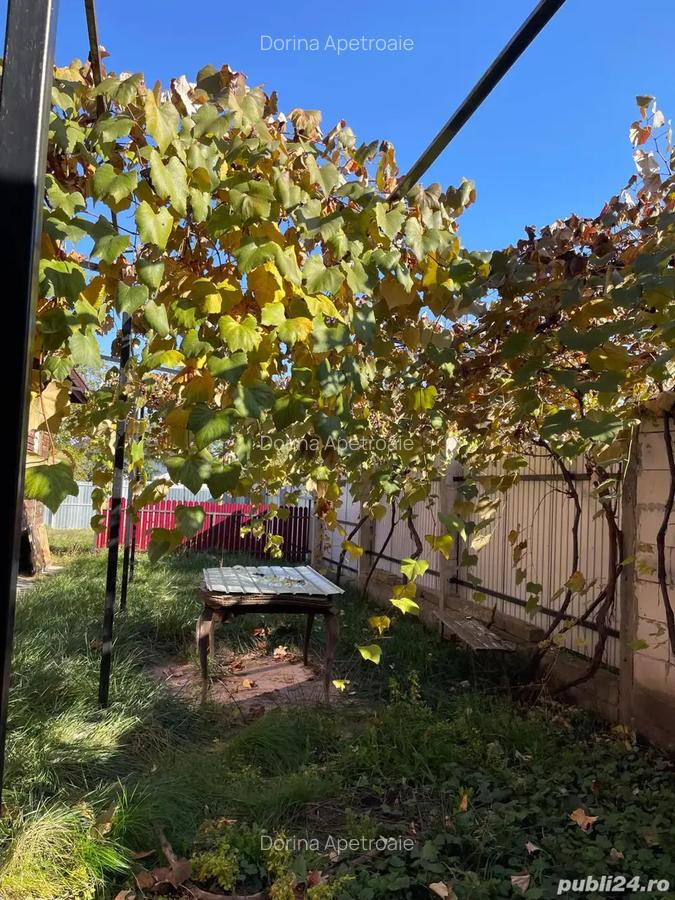 Vand casa in Targu Neam? - 5