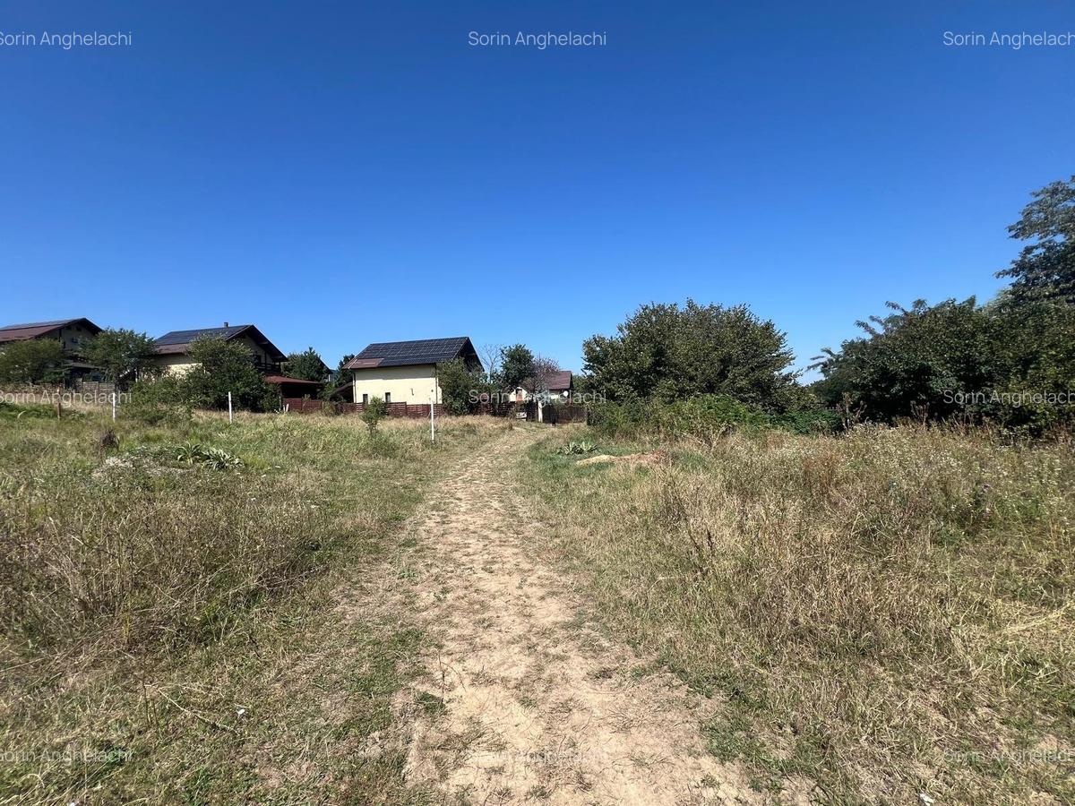 1100 mp Barnova , str Capela Inculet - 1