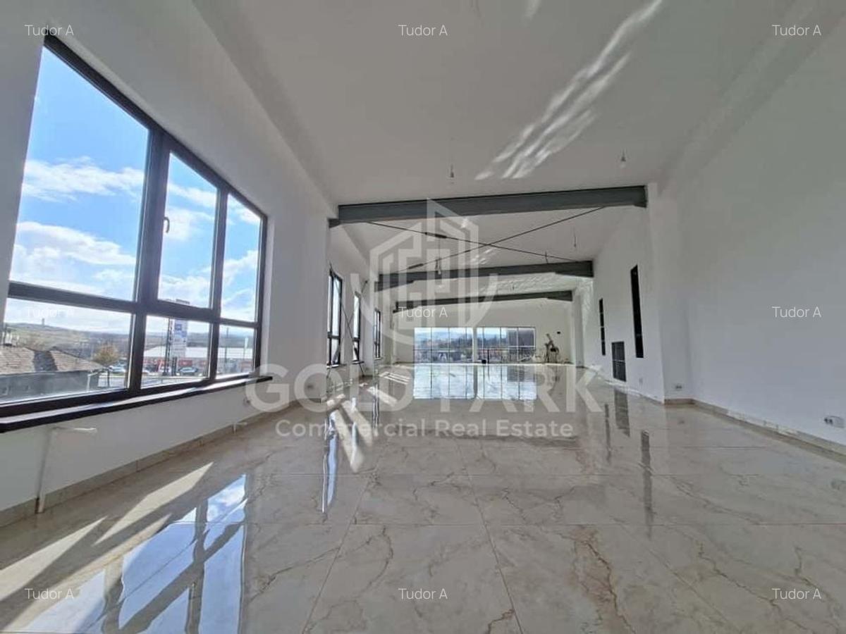 SHOWROOM - Expunere si Vitrina Mare  la Bulevard -Principal- Parcari - 8