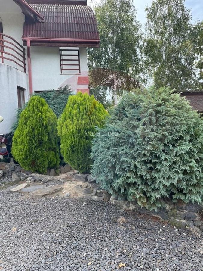 Casă individuală cu 6 camere în Ocna Șugatag - 4