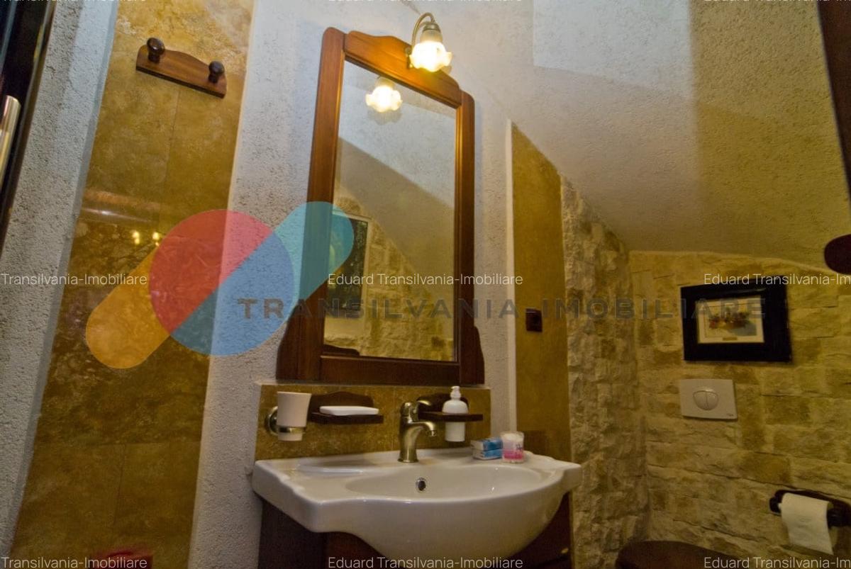 Complex  Printesa din Carpati  - Oportunitate de Investitie Unica pe Valea Aries - 19