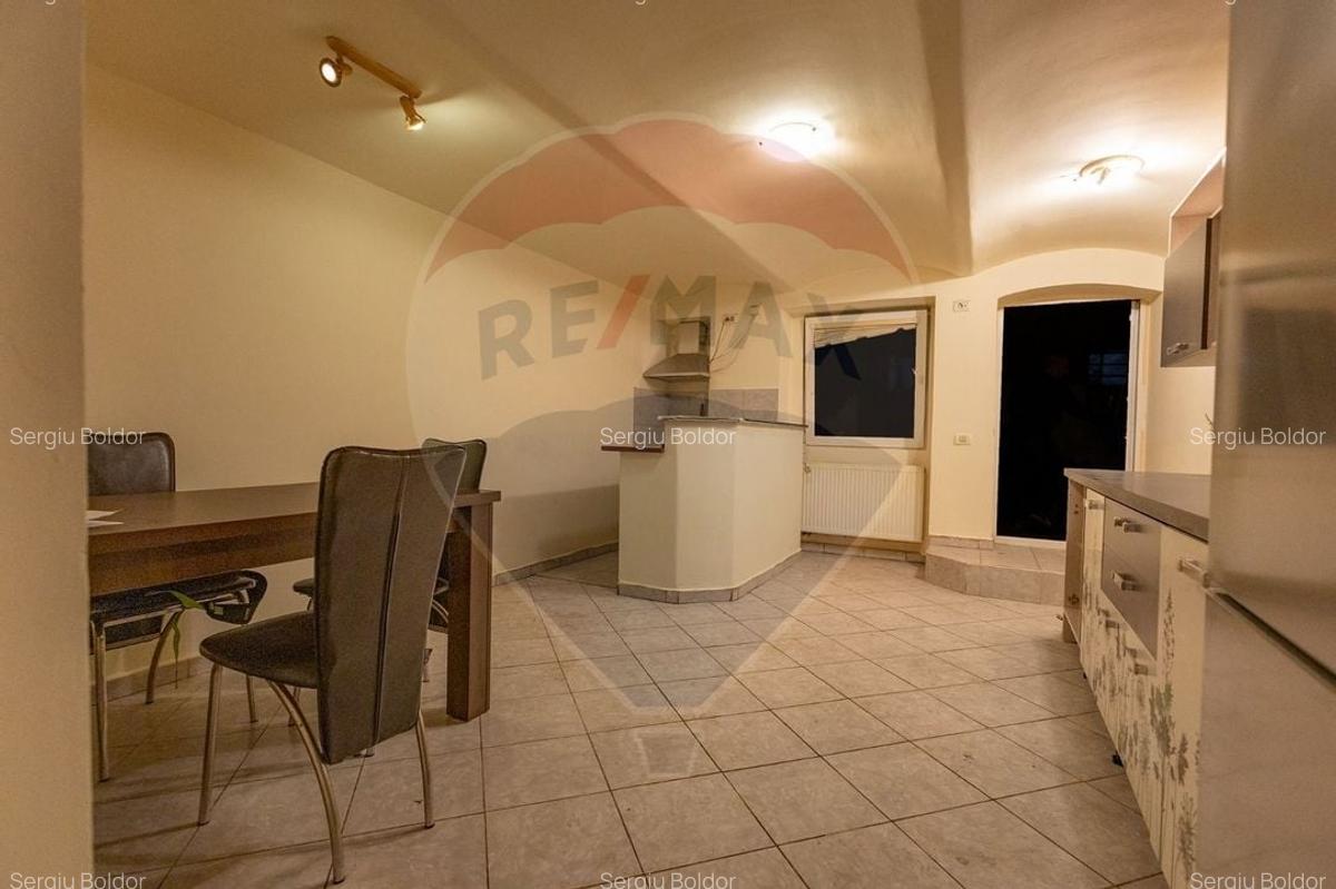 APARTAMENT 1 CAMERA, DEMISOL - ZONA PIATA MARIA, TIMISOARA - 2