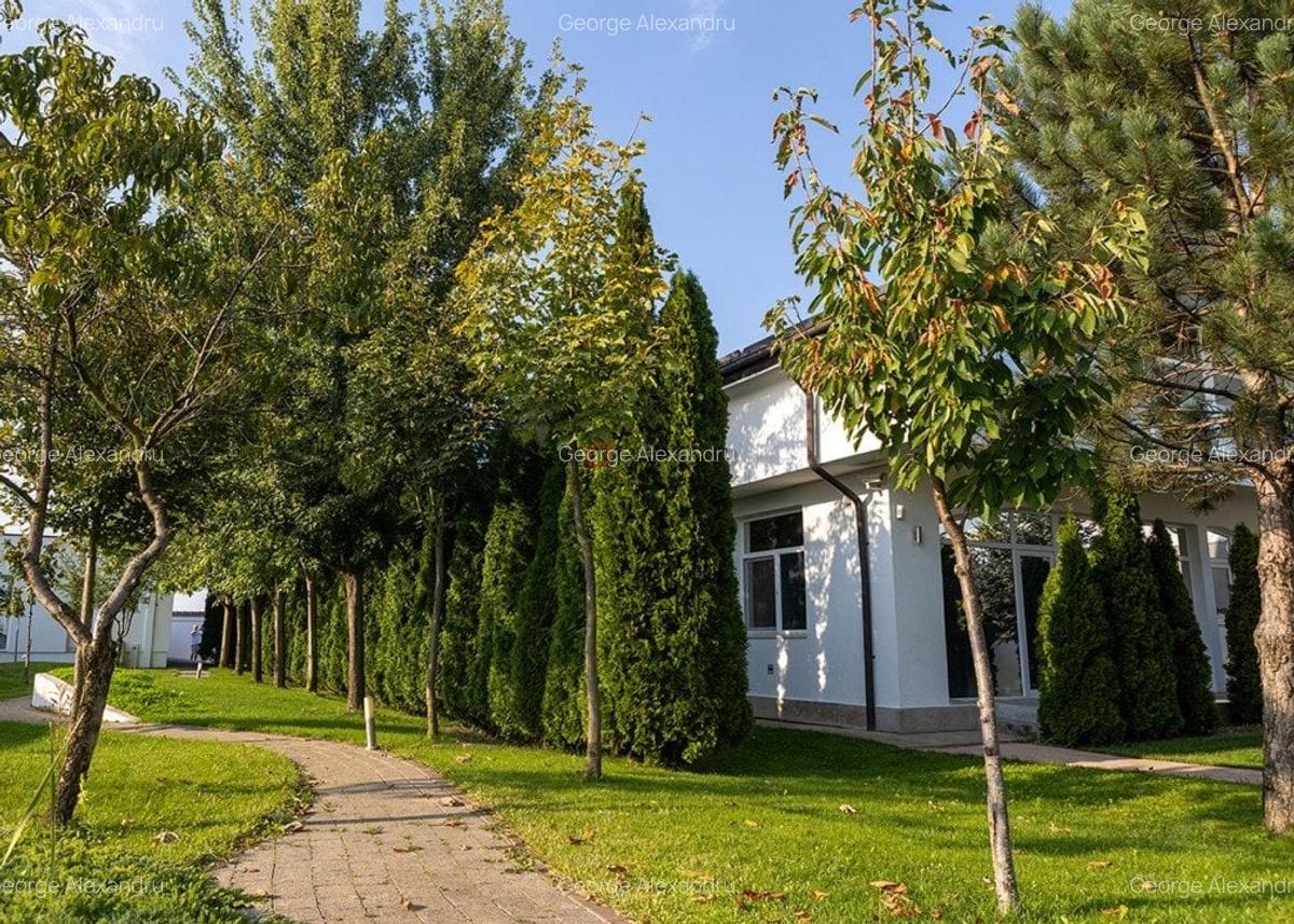 Vila Exclusivista Tartasesti - Mogosoaia - 38