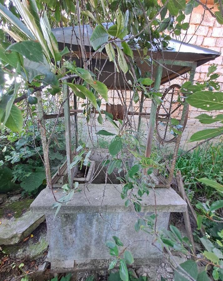 Casa Dragesti, Bihor, 25 minute de Oradea - 4