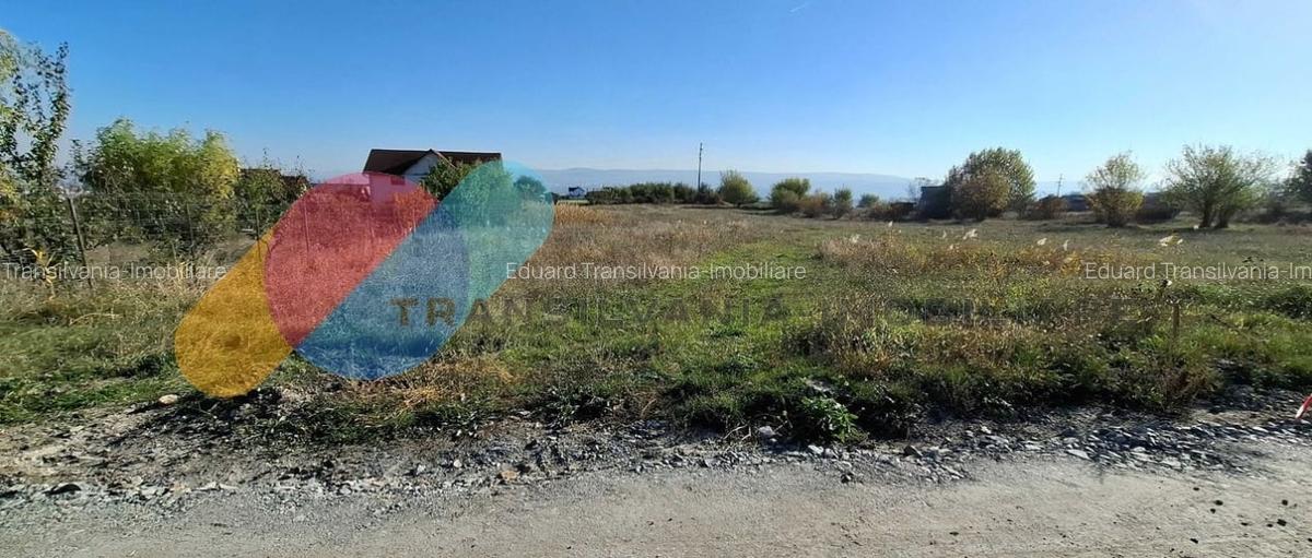 Teren intravilan cart Dambul Rotund Cluj-Napoca 3500mp - 1