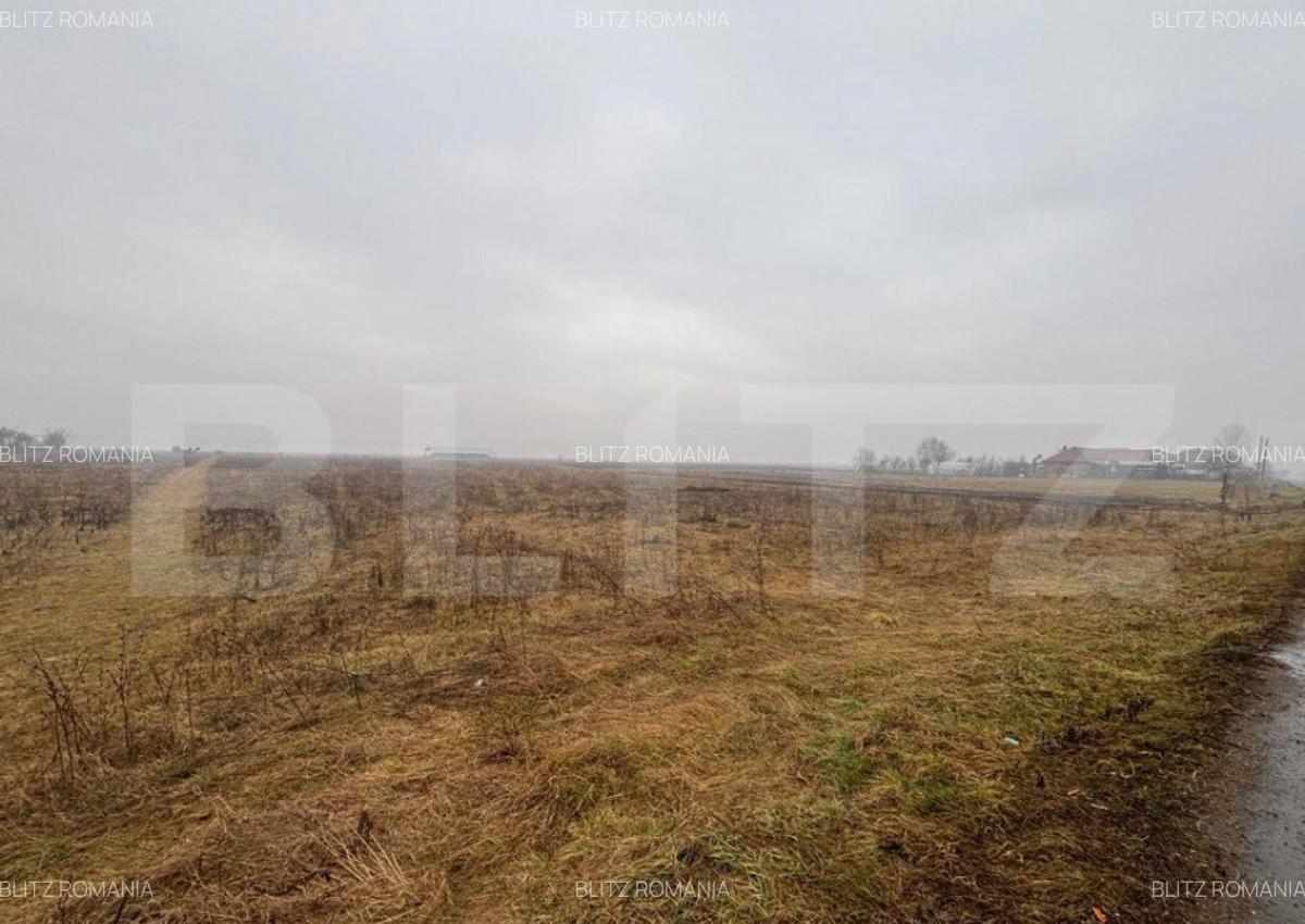 Teren Intravilan, 3000 mp, zona Chintelnic - 3