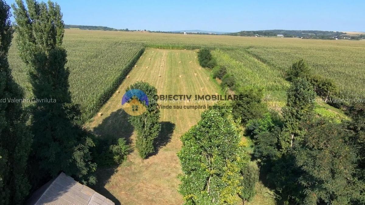 Casa + Teren de vanzare - Mastacan, Judetul Neamt - 3