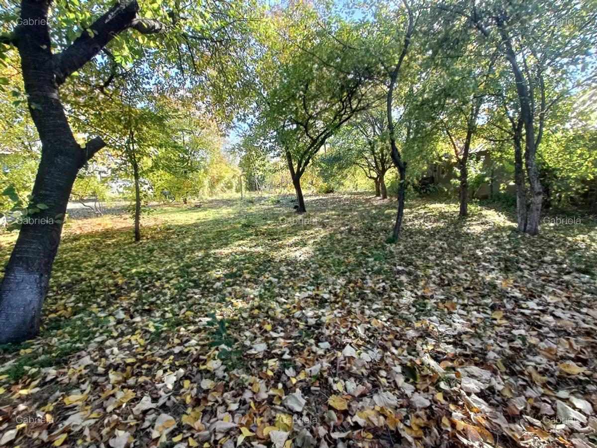 Oaza de liniste: Proprietate generoasa cu poten?ial de Investi?ie Locuin?a - 4