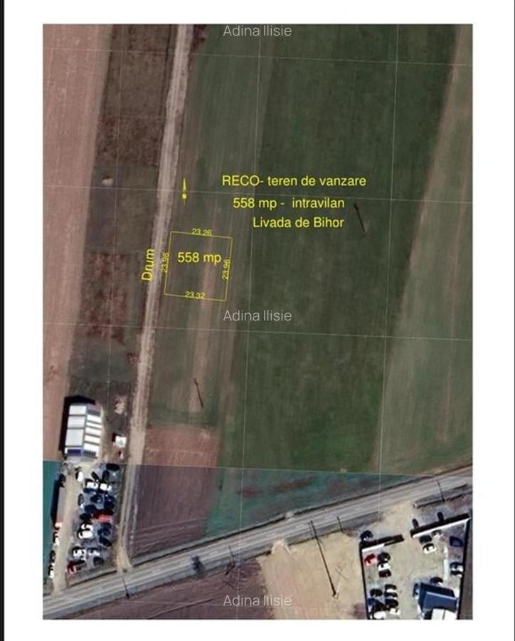 Teren Construcții intravilan de 558 mp, în Livada de Bihor - 1