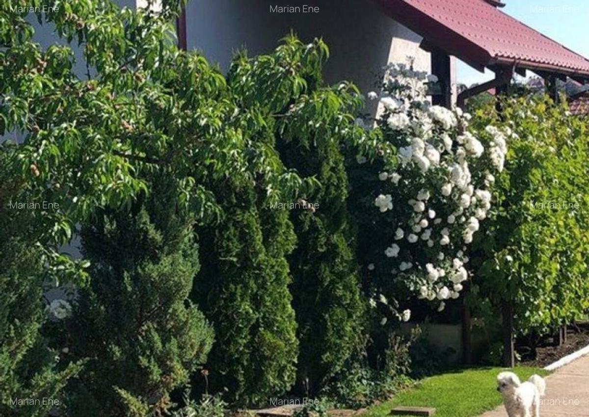 Vila - parter + mansarda - Sendreni, jud. Galati - 2