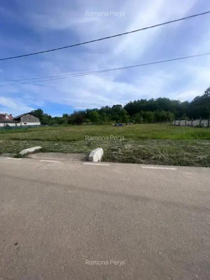 Teren Glamboc Deal, intravilan, asfalt, toate utilitatile - 3