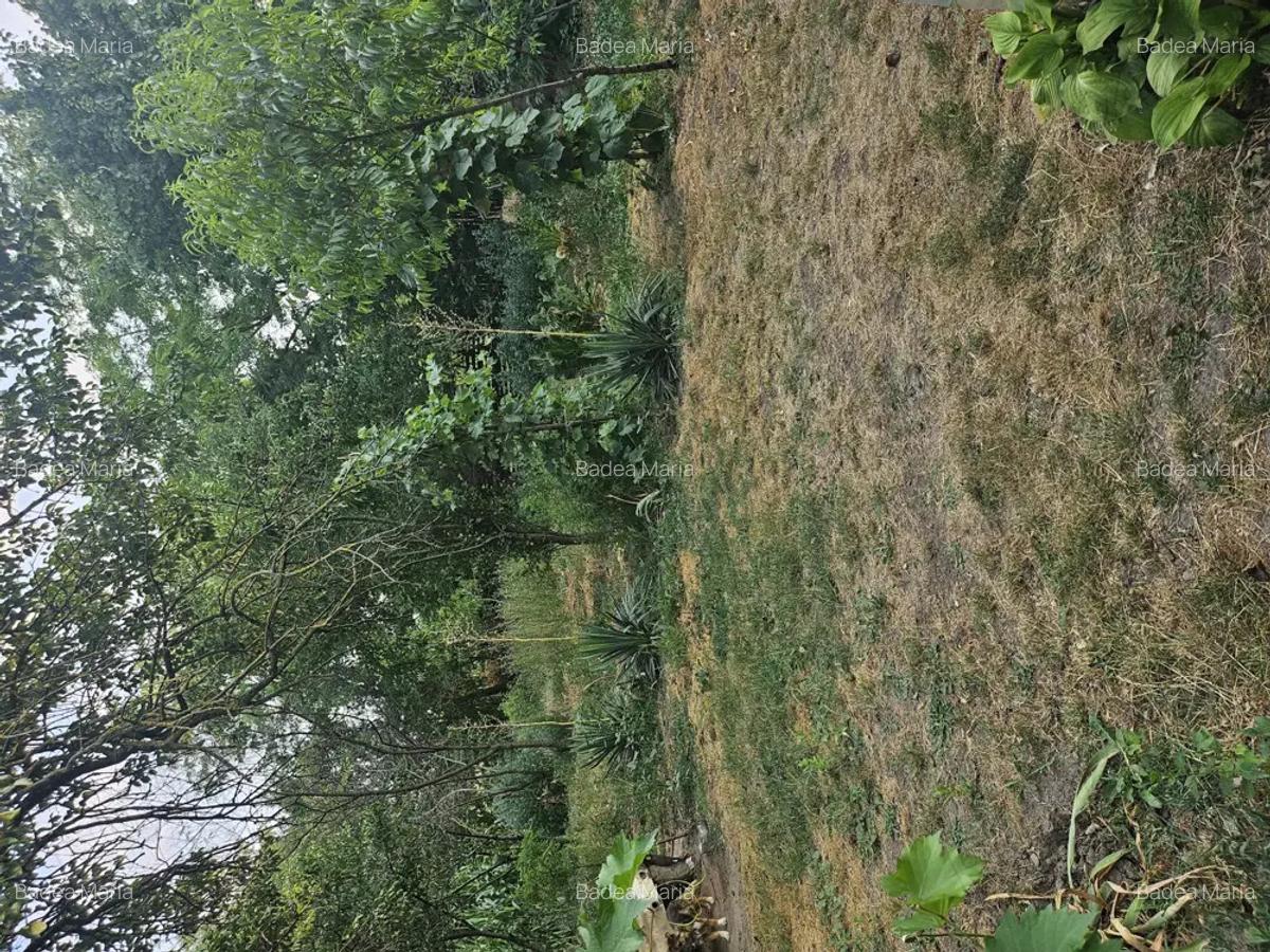 Casa de vanzare + teren ieftina - 10