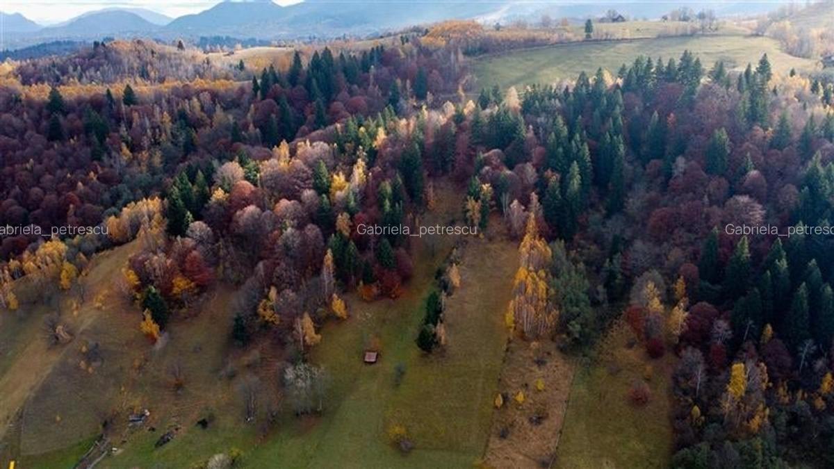 FILM! Constructie rustica tip Casa Verde, cu parau si panorama impresionanta, Mo - 5