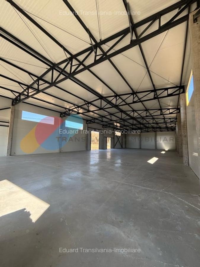 Hale de vanzare - 600 mp, open space, acces TIR, zona intrare Baciu - 3 Hale de vanzare - 600 mp, open space, acces TIR, zona intrare Baciu - 3