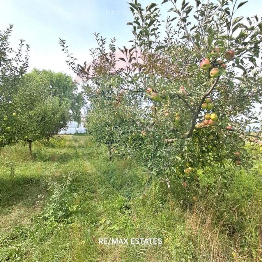 Proprietate speciala de 3,100 mp de vanzare in Maierus - 20