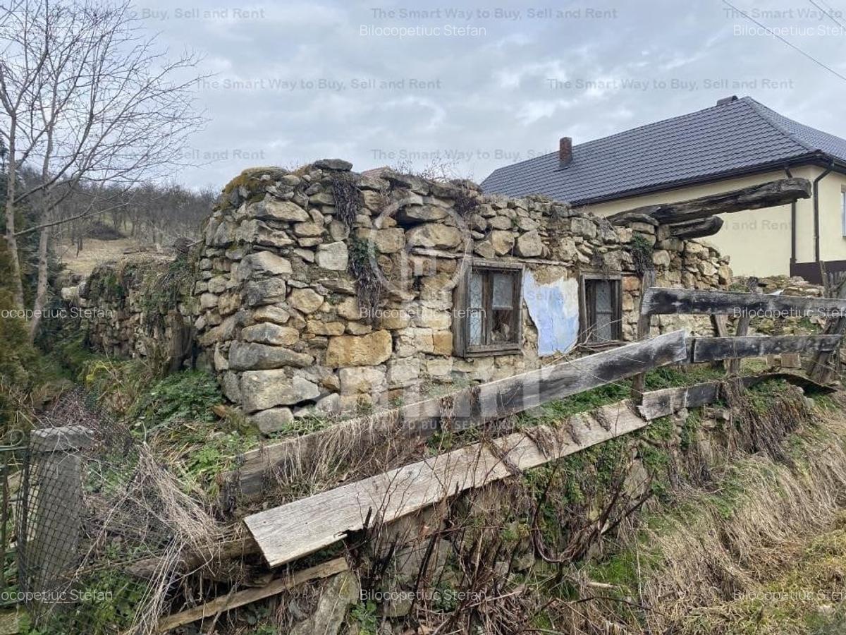 Teren intravilan cu CF 5400mp front 17 Savadisla jud Cluj - 18