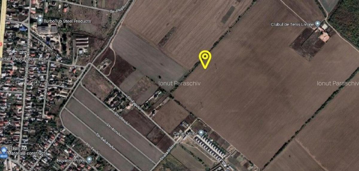 Teren intravilan 1 Decembrie, judetul Ilfov, ID: R2319723 - 1
