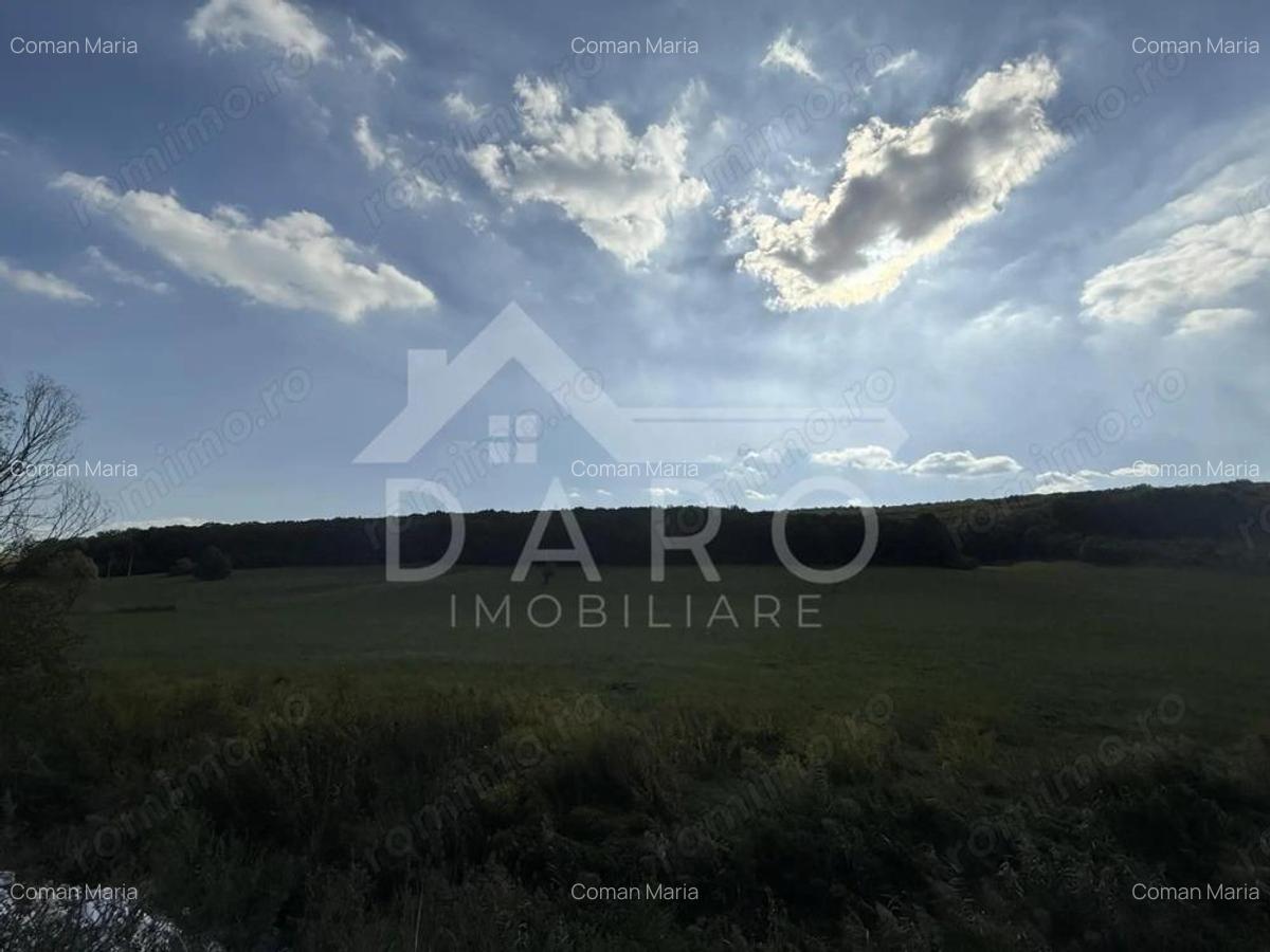 Teren intravilan budiu mic 9700 m2, perfect pentru complex reziden?ial - 3