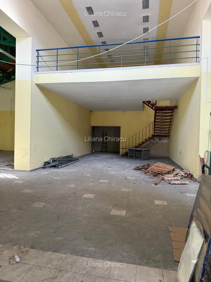 PROPRIETATE UNICA IN BUCURESTI - 5660 MP, TEREN 4736 MP - "VIILOR" - 11
