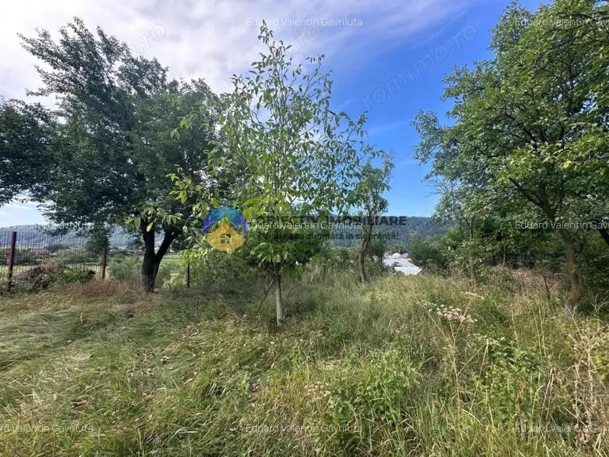Teren de Vanzare 1172 mp Dumbrava Ro?ie, Neam? - 9