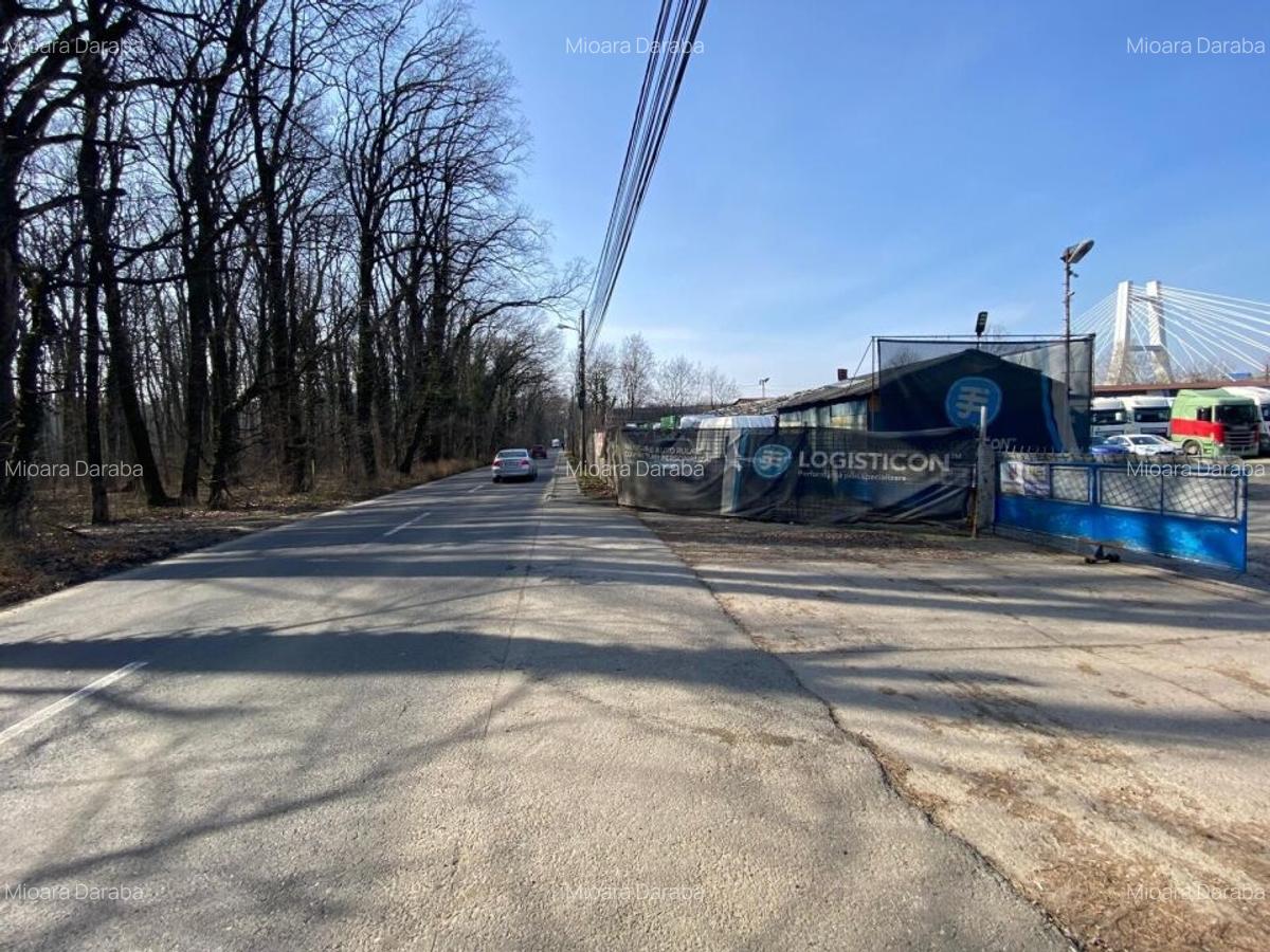 Teren 9700mp, Padurea Baneasa, Aleea Teisani - 4