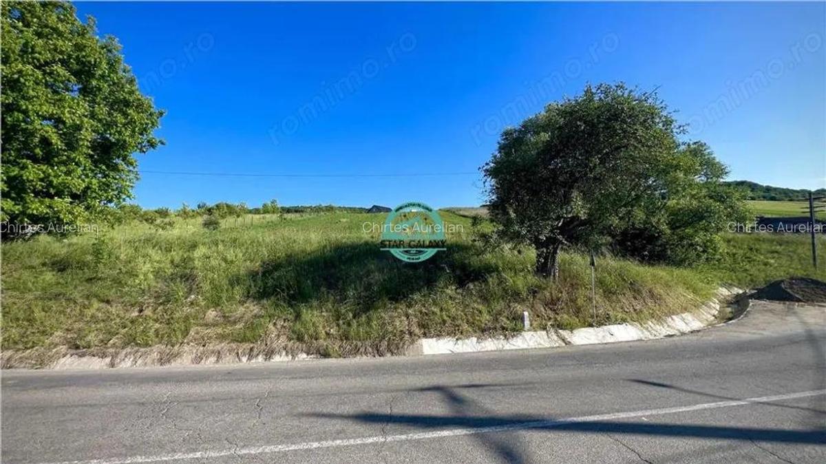 Vand teren intravilan in Sanisor cu suprafata de 4946 mp - 4