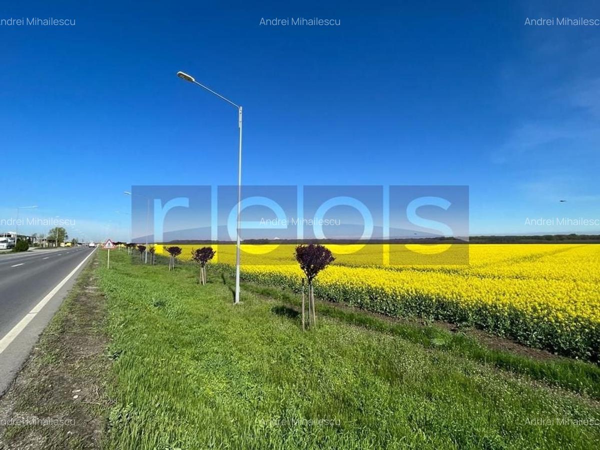 Teren 6.5HMakita Branesti deschidere 65 mp - 5