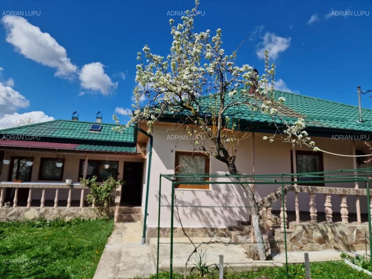 Vanzare Casa Tansa Jud Iasi 4 Camere+ 1000 mp Teren Utilata+Mobilata - 1