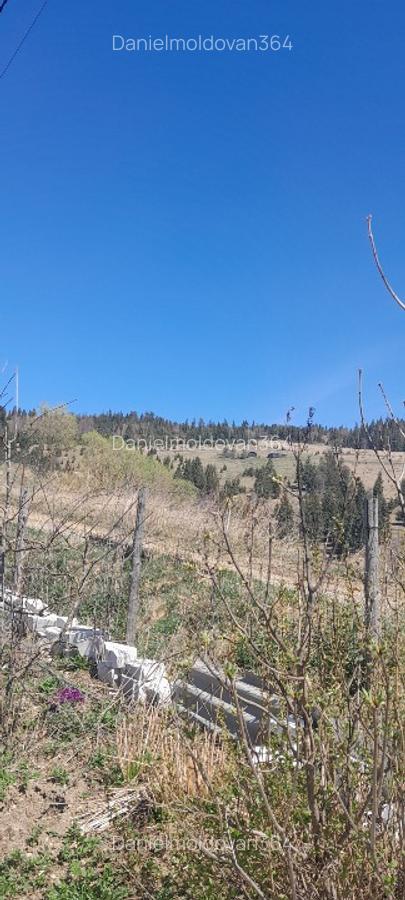 Vând casa batraneasca și teren 3892m - 8