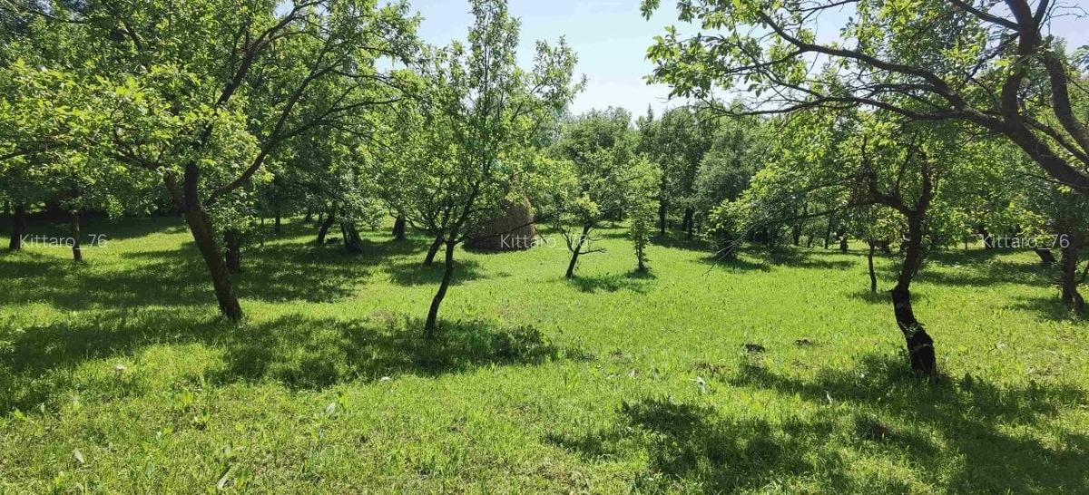 Rezervat - 5