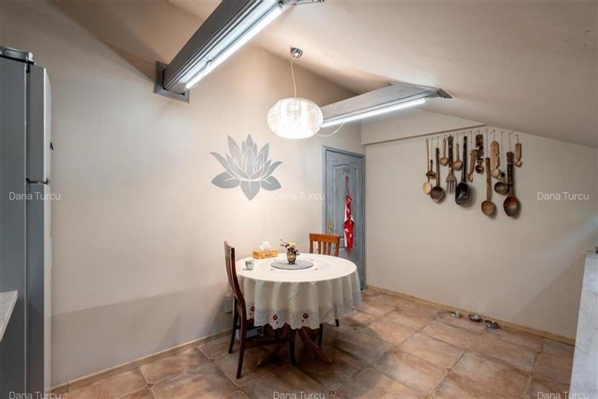 Vila deosebită, stil provensal, la 750 m de UMF - 16